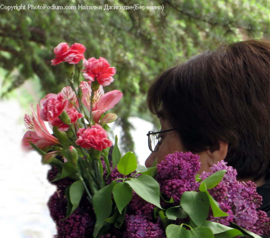 People, Person, Human, Flower, Flower Arrangement, Flower Bouquet, Floral Design