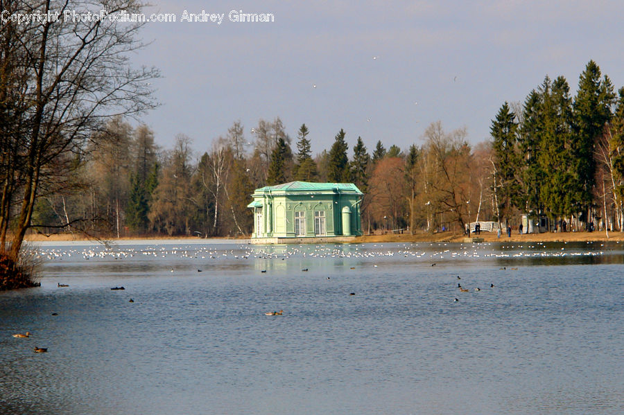 Gazebo, Cabin, Hut, Rural, Shack, Shelter, Building