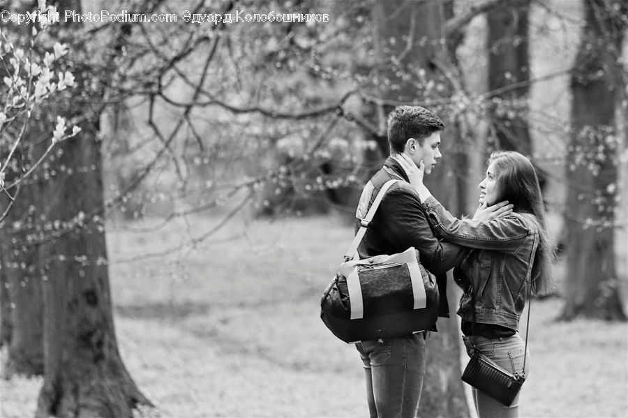 Human, People, Person, Birch, Tree, Wood, Plant