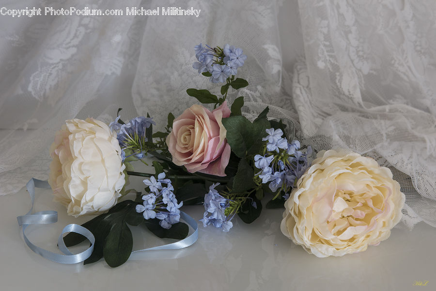 Plant, Potted Plant, Blossom, Flower, Rose, Flower Arrangement, Flower Bouquet