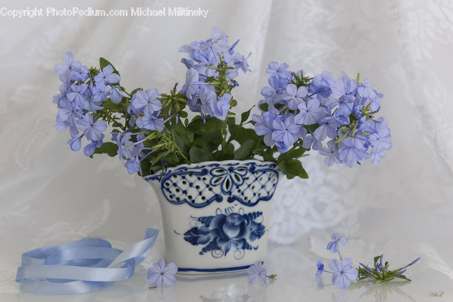 Blossom, Flora, Flower, Geranium, Plant, Lilac, Flower Arrangement