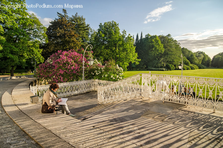 Bench, Park, Field, Grass, Grassland, Meadow, Outdoors