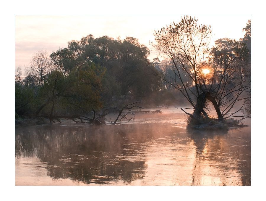 Flood, Plant, Tree, Flare, Light, Sunlight, Silhouette