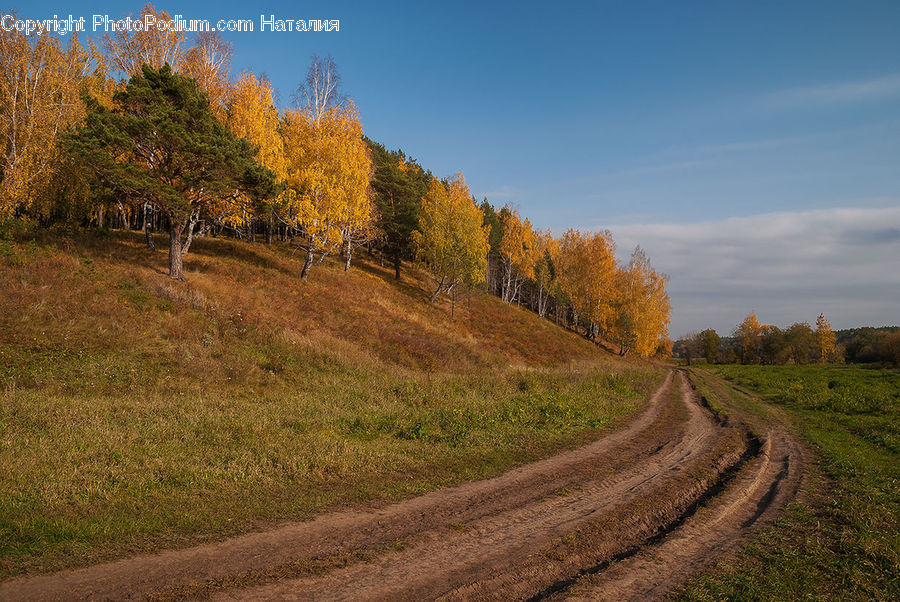 Dirt Road, Gravel, Road, Landscape, Nature, Scenery