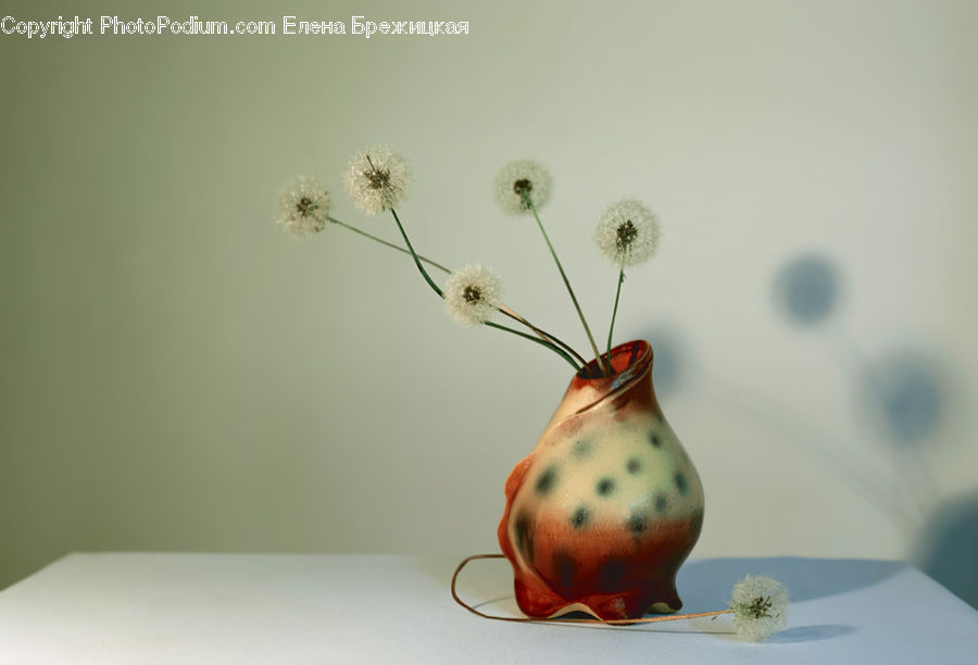 Flower Arrangement, Ikebana, Plant, Potted Plant, Vase, Blossom, Flora