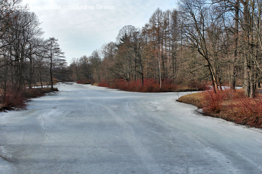 Dirt Road, Gravel, Road, Frost, Ice, Outdoors, Snow