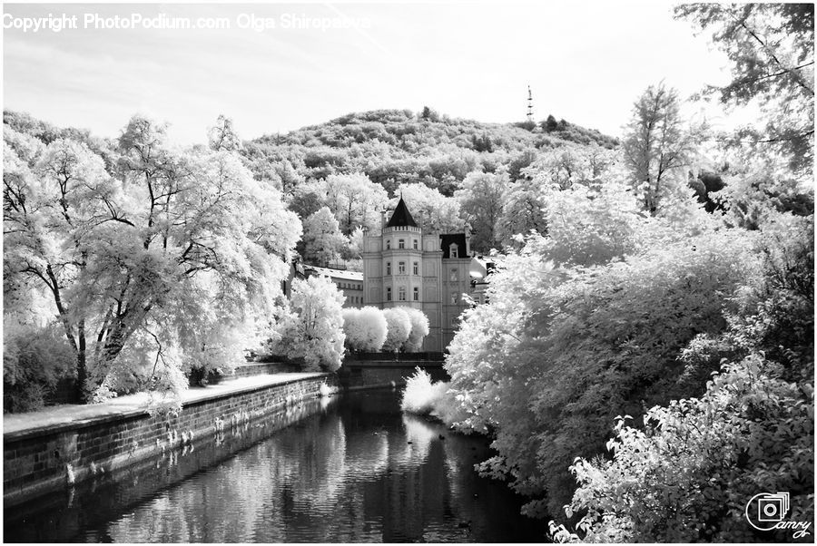 Canal, Outdoors, River, Water, Blossom, Flora, Flower