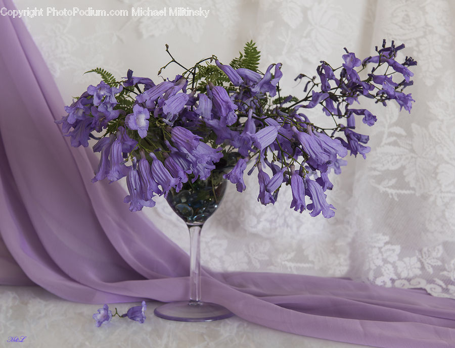 Blossom, Flower, Lilac, Plant, Potted Plant, Flower Arrangement, Flower Bouquet