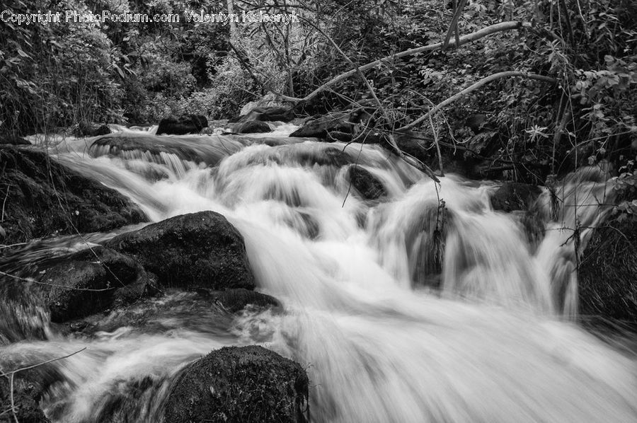 Creek, Outdoors, River, Water, Forest, Jungle, Rainforest