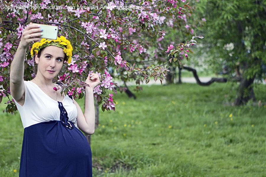 People, Person, Human, Blossom, Flora, Flower, Plant