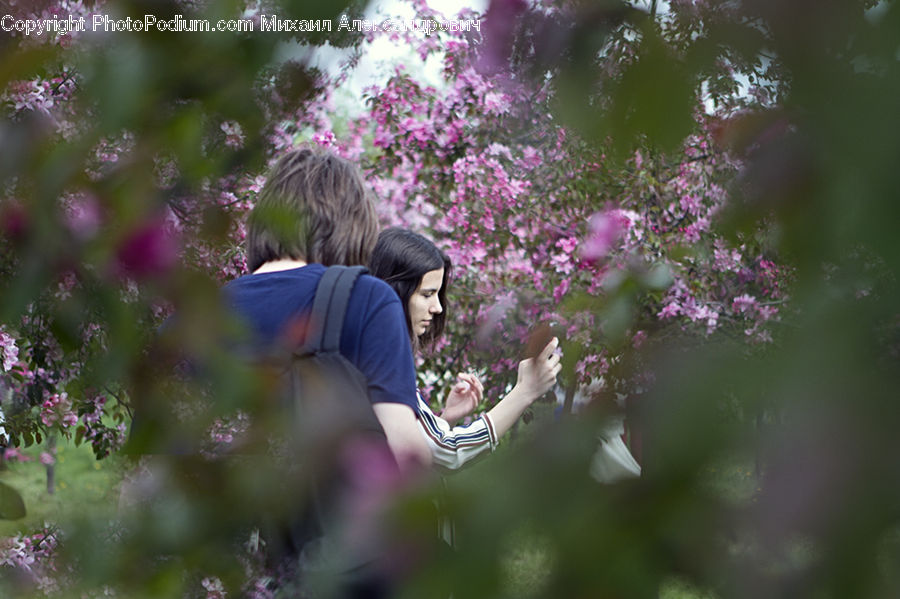 People, Person, Human, Blossom, Flower, Lilac, Plant