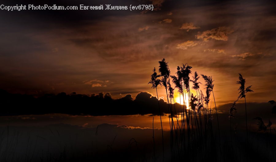 Dawn, Dusk, Red Sky, Sky, Sunrise, Sunset