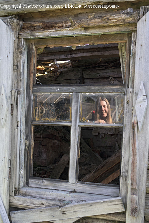 Window, Box, Crate, Animal, Zoo, Person, Portrait