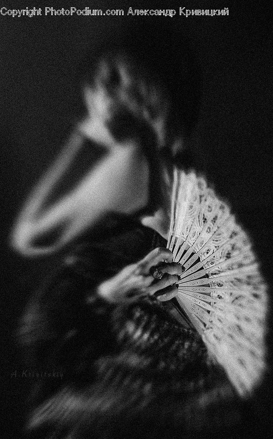 Performer, Person, Head, Portrait