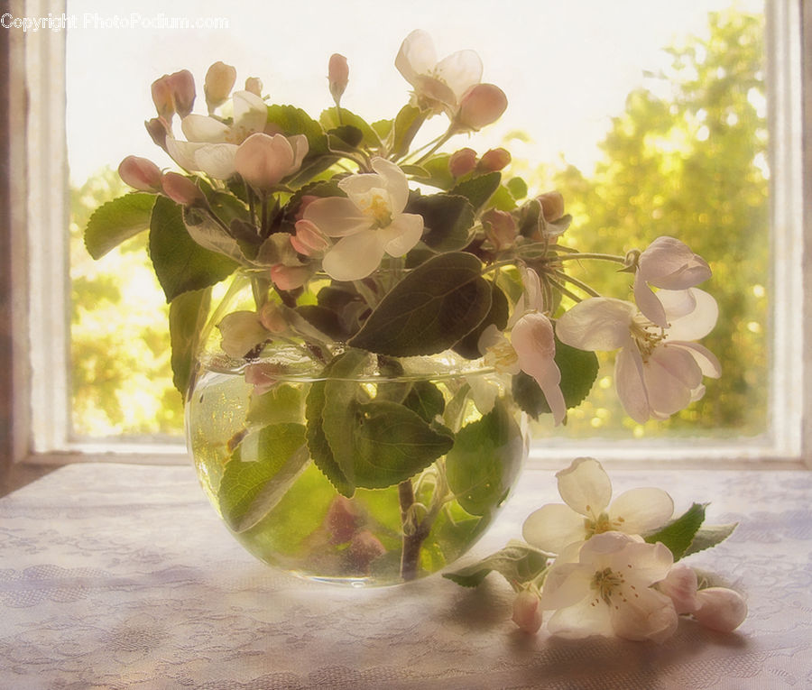 Floral Design, Flower, Flower Arrangement, Flower Bouquet, Ikebana, Plant, Potted Plant