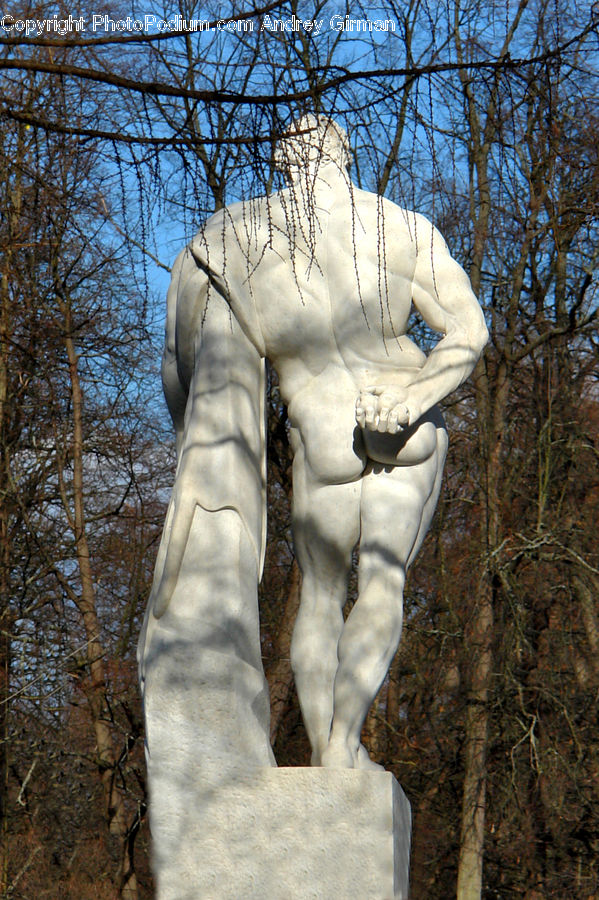 Birch, Tree, Wood, Art, Sculpture, Statue, Modern Art