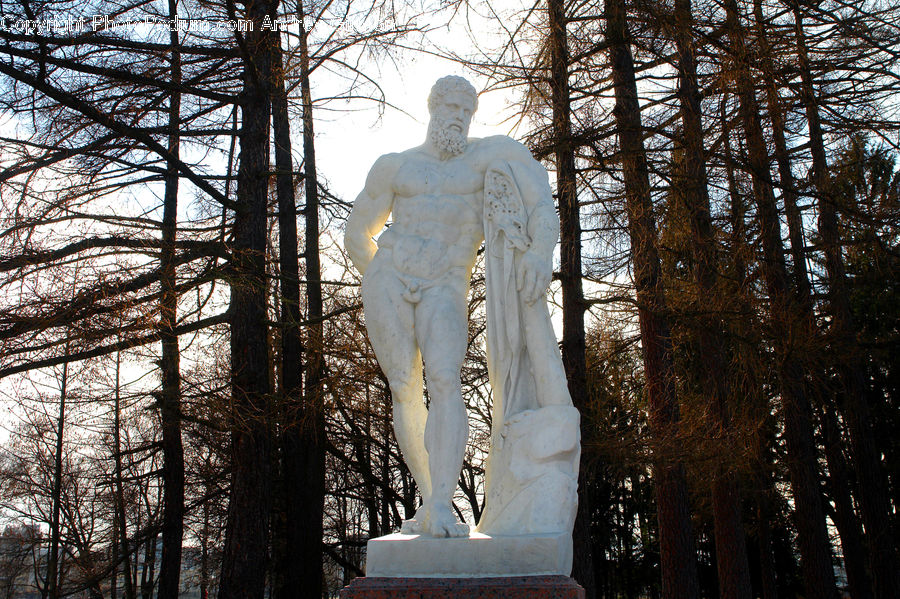 People, Person, Human, Art, Sculpture, Statue, Fir