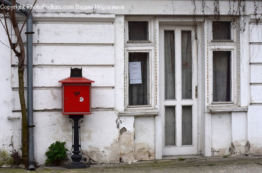 Plant, Potted Plant, Mailbox, Postbox
