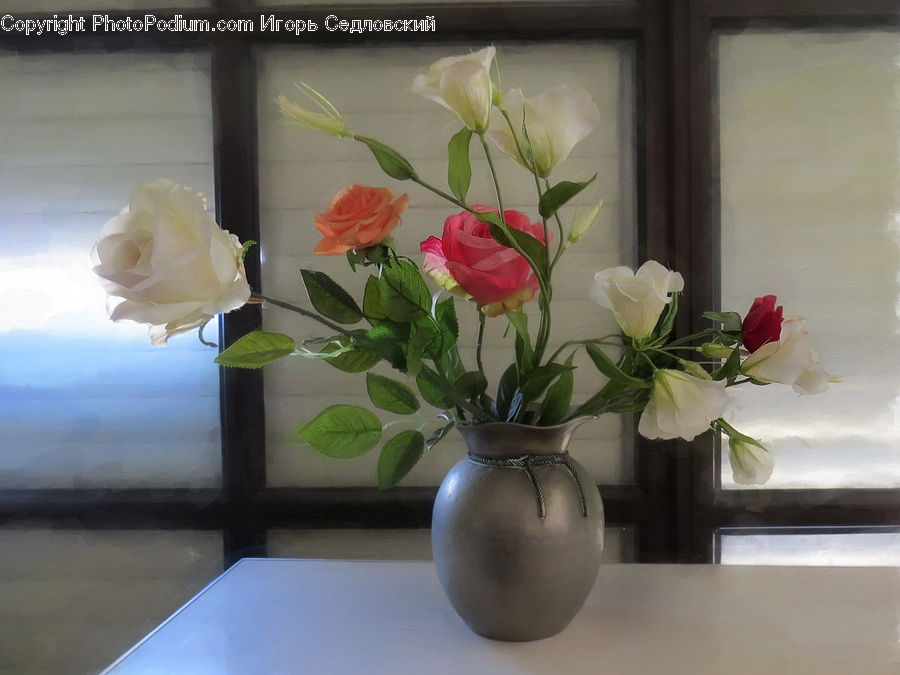 Plant, Potted Plant, Blossom, Flower, Rose, Flower Arrangement, Ikebana