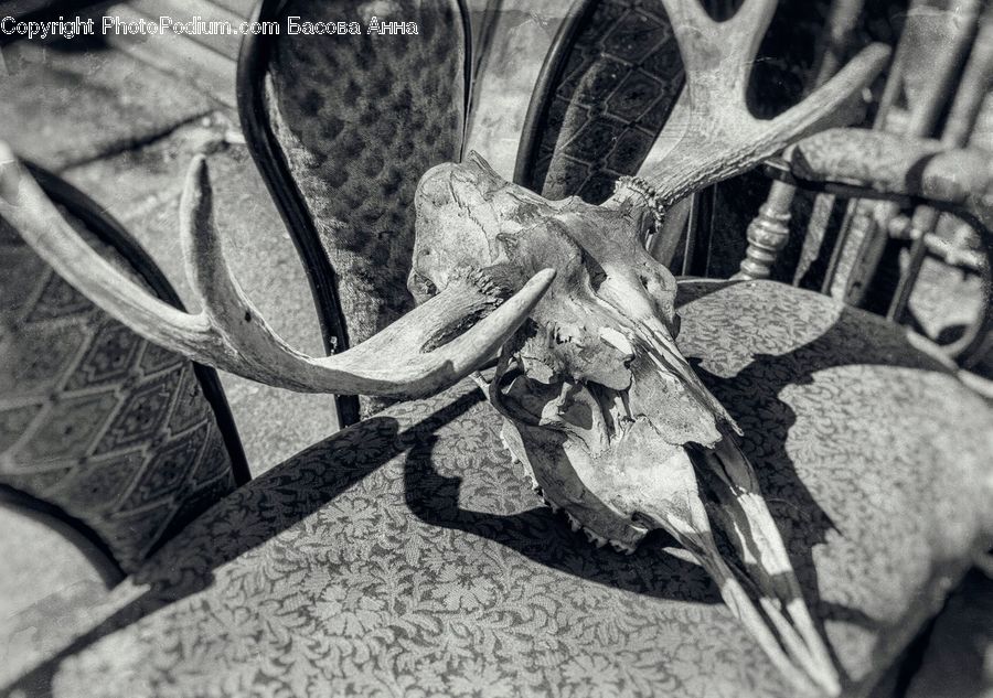 Chair, Furniture, Rubble