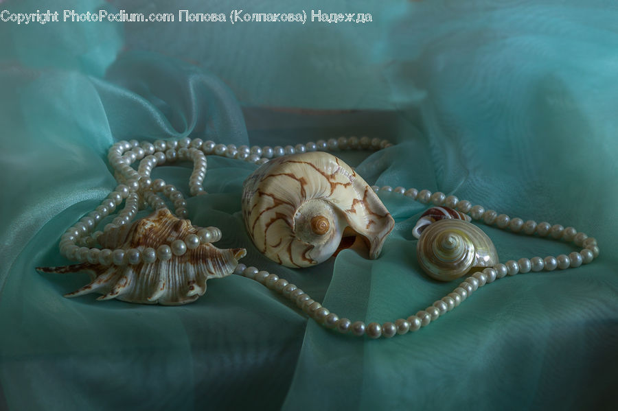 Jewelry, Pearl, Accessories, Bead, Prayer Beads, Clam, Sea Life