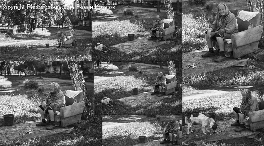 People, Person, Human, Bench, Collage, Poster, Countryside