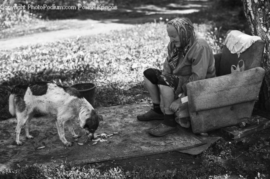 People, Person, Human, Bench, Countryside, Farm, Field