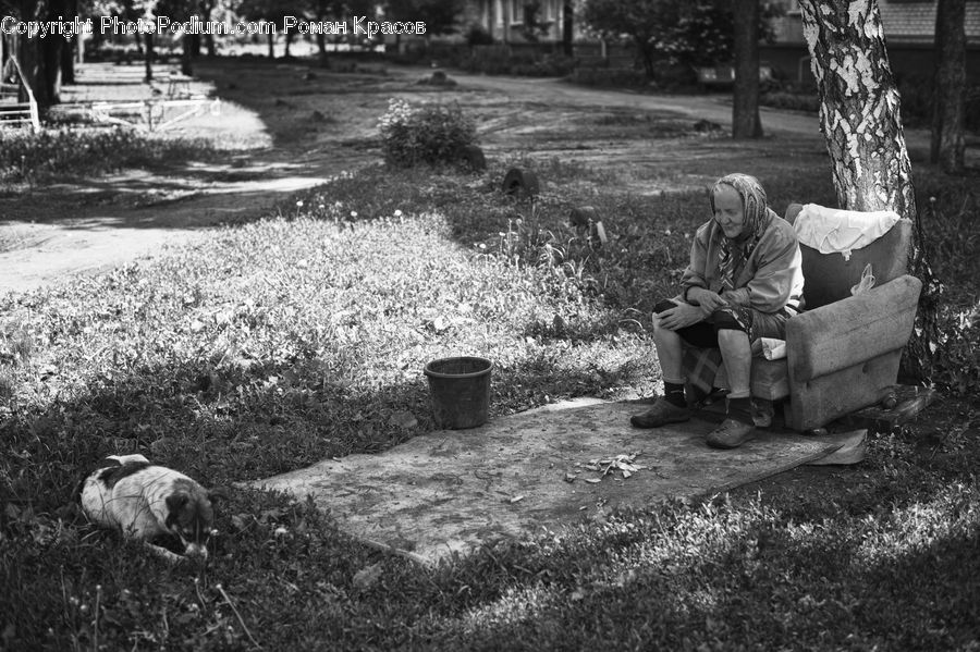 People, Person, Human, Bench, Birch, Tree, Wood