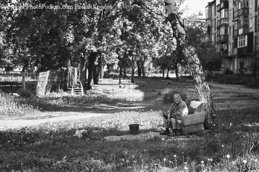 People, Person, Human, Bench, Plant, Tree, Oak