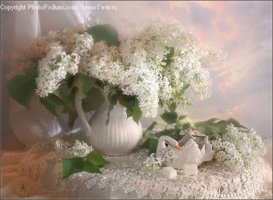 Blossom, Flower, Lilac, Plant, Cherry Blossom, Floral Design, Flower Arrangement