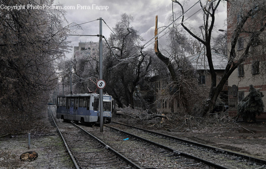 Rail, Train Track, Train, Vehicle, Cable Car, Streetcar, Trolley