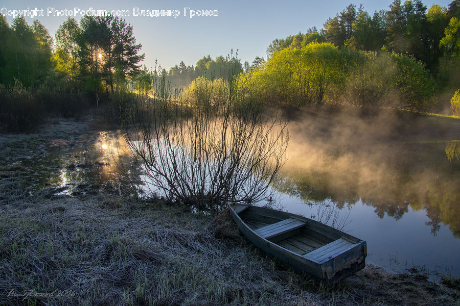 Boat, Rowboat, Vessel, Dinghy, Watercraft, Field, Grass