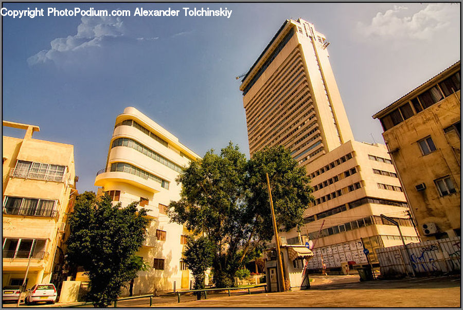 Plant, Potted Plant, Building, Housing, Bus, Vehicle, City