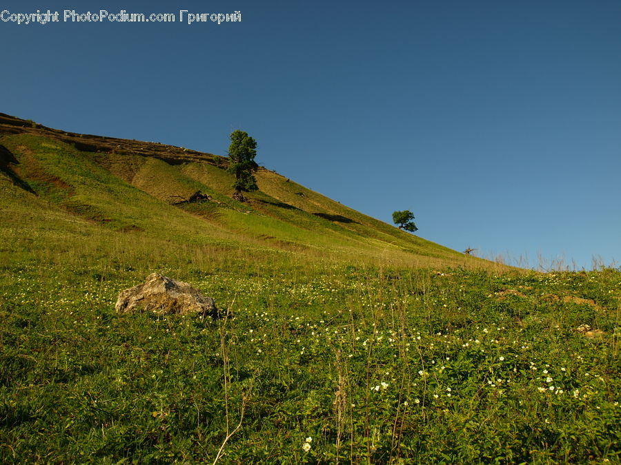 Field, Grass, Grassland, Land, Outdoors, Countryside, Hill