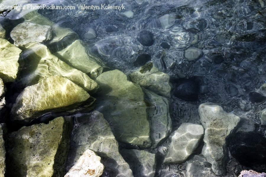 Fish, Manta Ray, Sea Life, Stingray, Stingray Fish, Rock