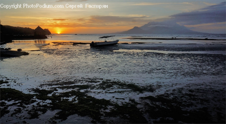 Beach, Coast, Outdoors, Sea, Water, Dawn, Dusk