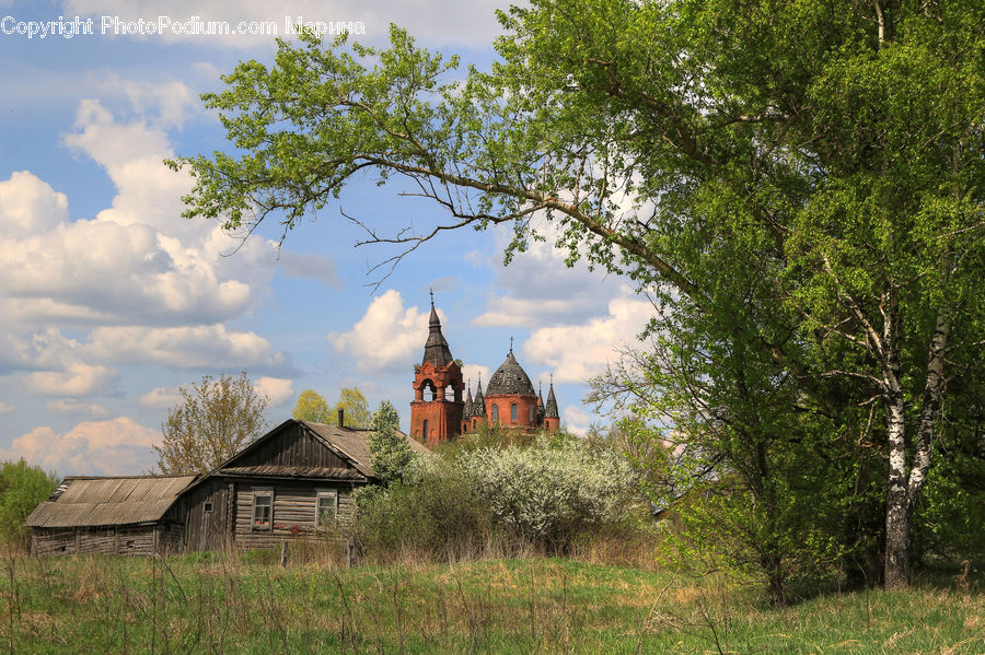 Building, Cottage, Housing, Cabin, Hut, Rural, Shack