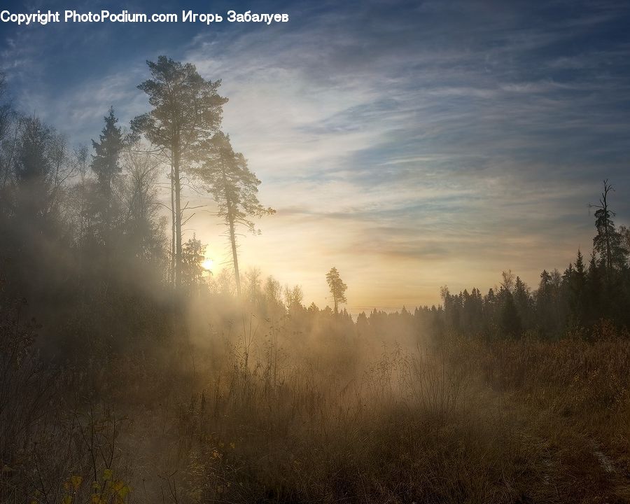 Dawn, Dusk, Sky, Sunrise, Sunset, Fog, Field