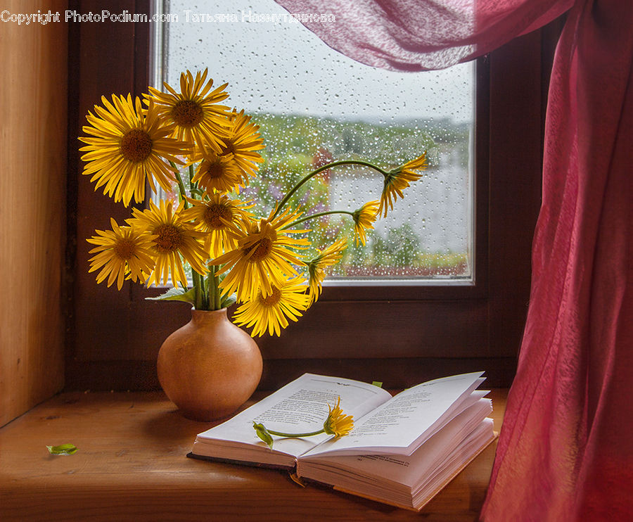 Jar, Porcelain, Vase, Book, Text, Floral Design, Flower