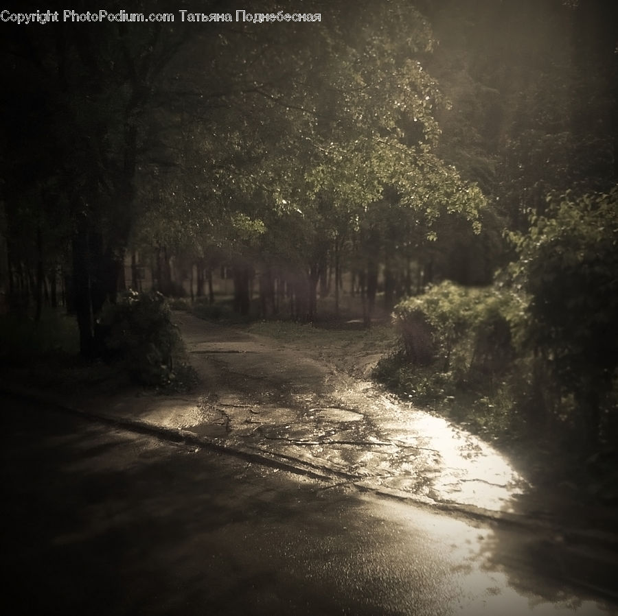 Dirt Road, Gravel, Road, Flare, Light, Sunlight, Path
