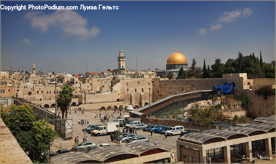 Plant, Potted Plant, Architecture, Dome, Bush, Vegetation, Mosque