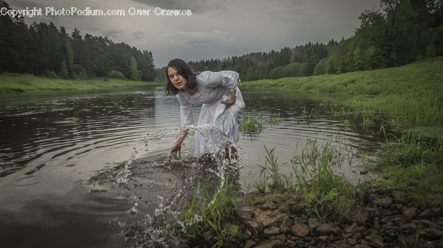 Land, Marsh, Outdoors, Swamp, Water, Forest, Vegetation