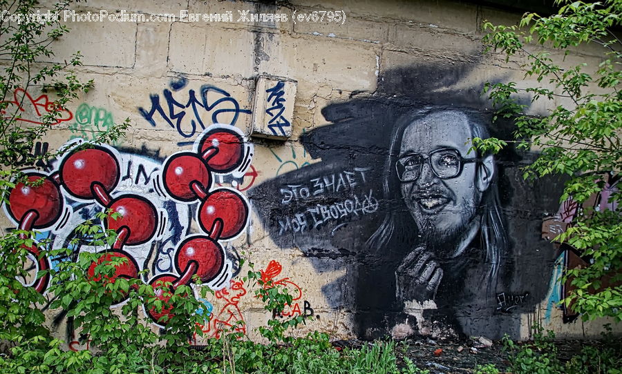Art, Graffiti, Mural, Wall, Ivy, Plant, Vine