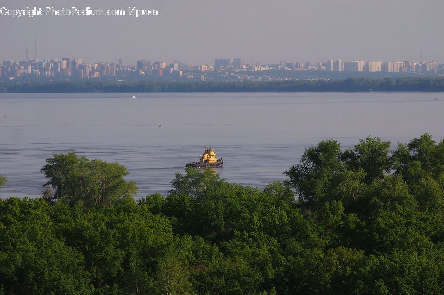 Fog, Pollution, Smog, Smoke, Bush, Plant, Vegetation