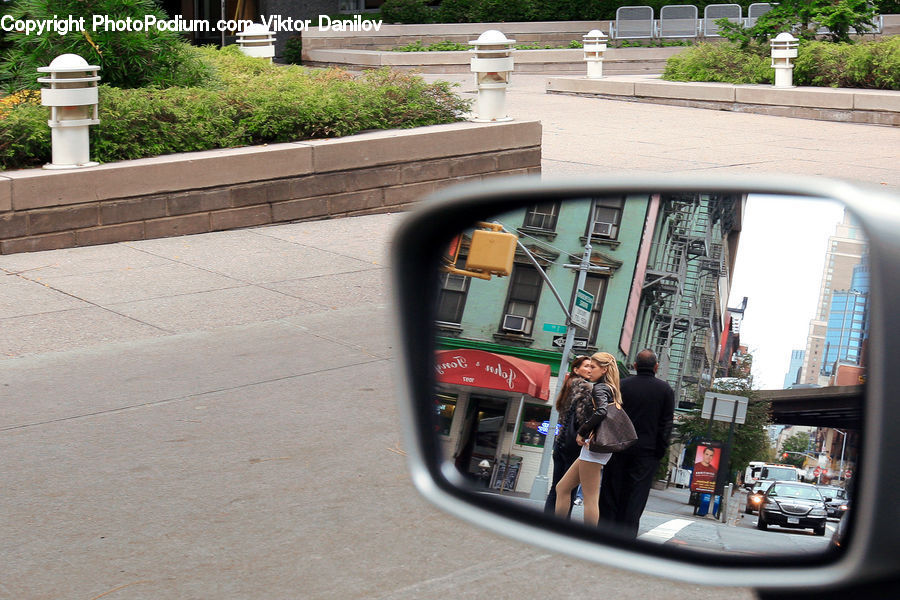 People, Person, Human, Car Mirror, Mirror, Plant, Potted Plant