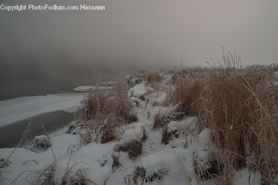 Blizzard, Outdoors, Snow, Weather, Winter, Field, Grass