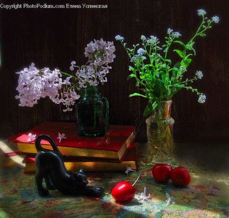 Plant, Potted Plant, Herbs, Mint, Ball, Sphere, Bonsai