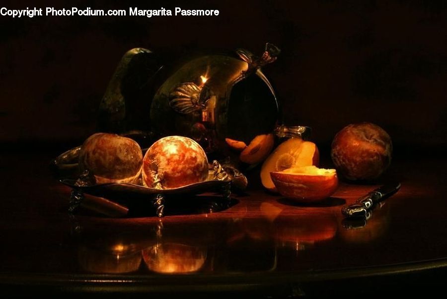 Art, Painting, Still Life, Arachnid, Garden Spider, Insect, Invertebrate