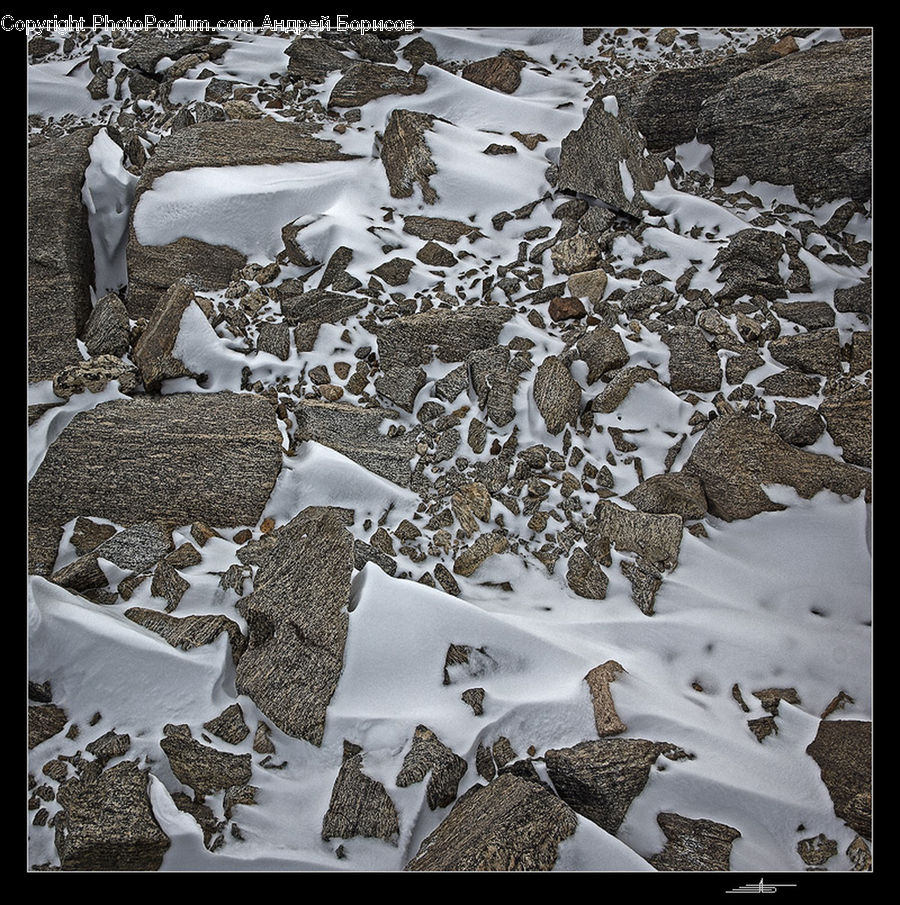 Ice, Outdoors, Snow, Bird, Grouse, Ptarmigan, Dining Room