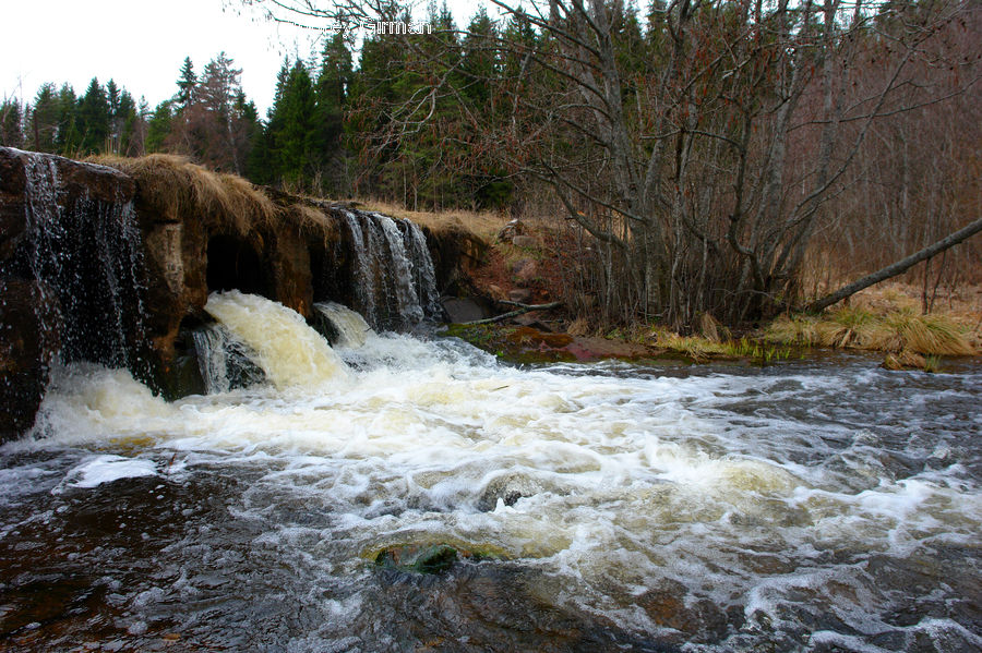 Creek, Outdoors, River, Water, Waterfall, Plant, Vegetation